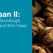 Artisan II: Baking Sourdough, Levain and Wild Yeast at San Francisco Baking Institute